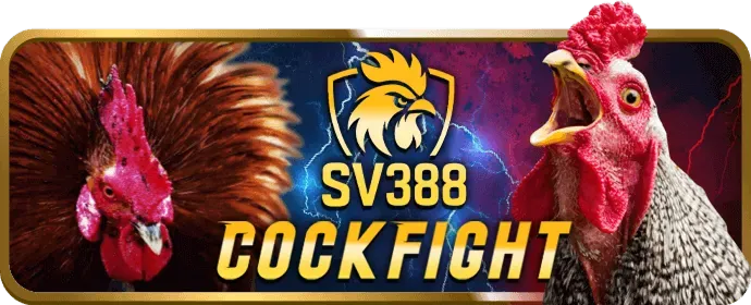 Cá cược bóng rổ tại 28win app